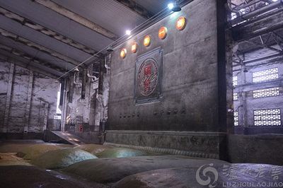 泸州老窖